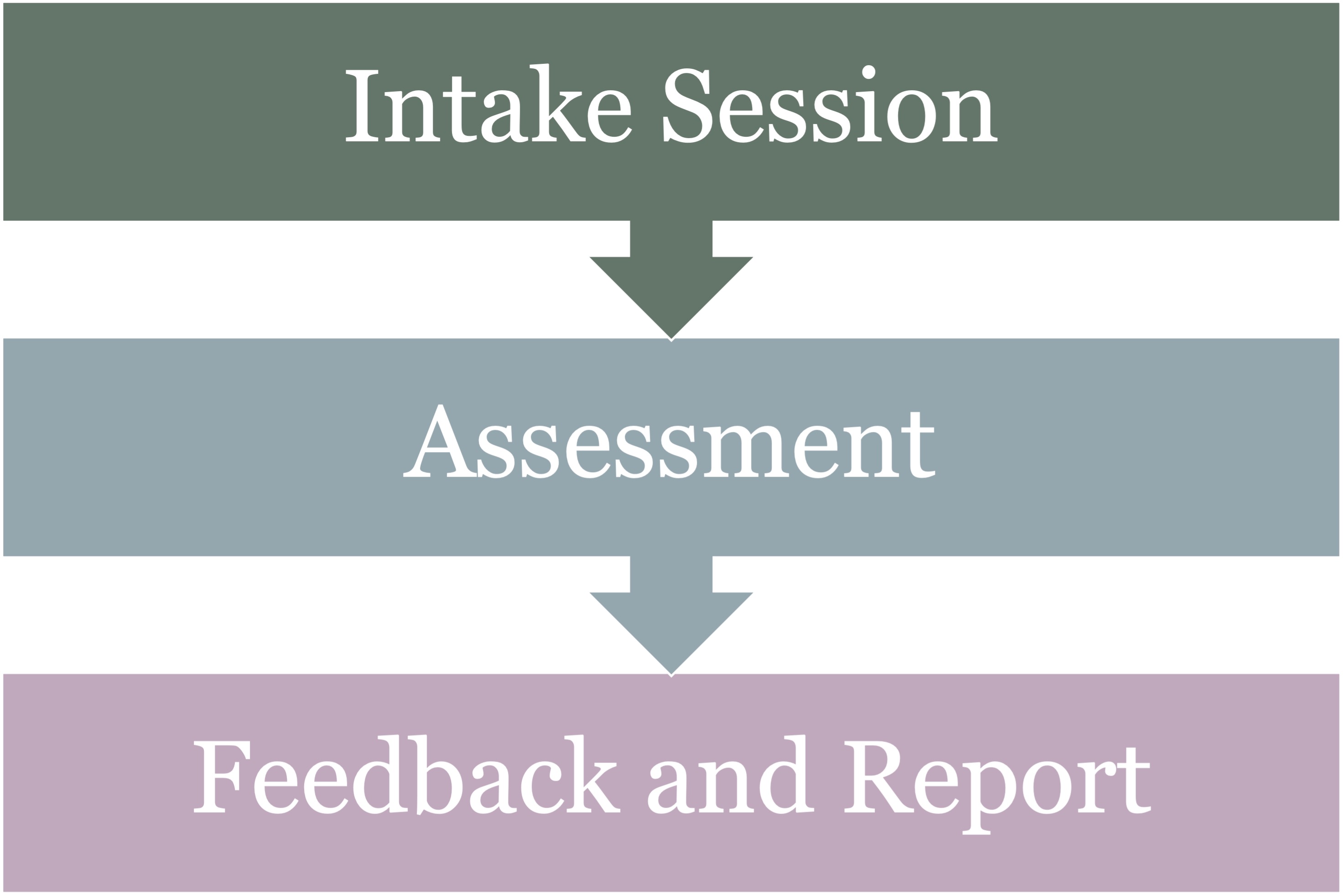 Assessment Process